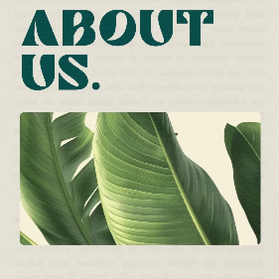 Identidad visual de Tropicalia Records